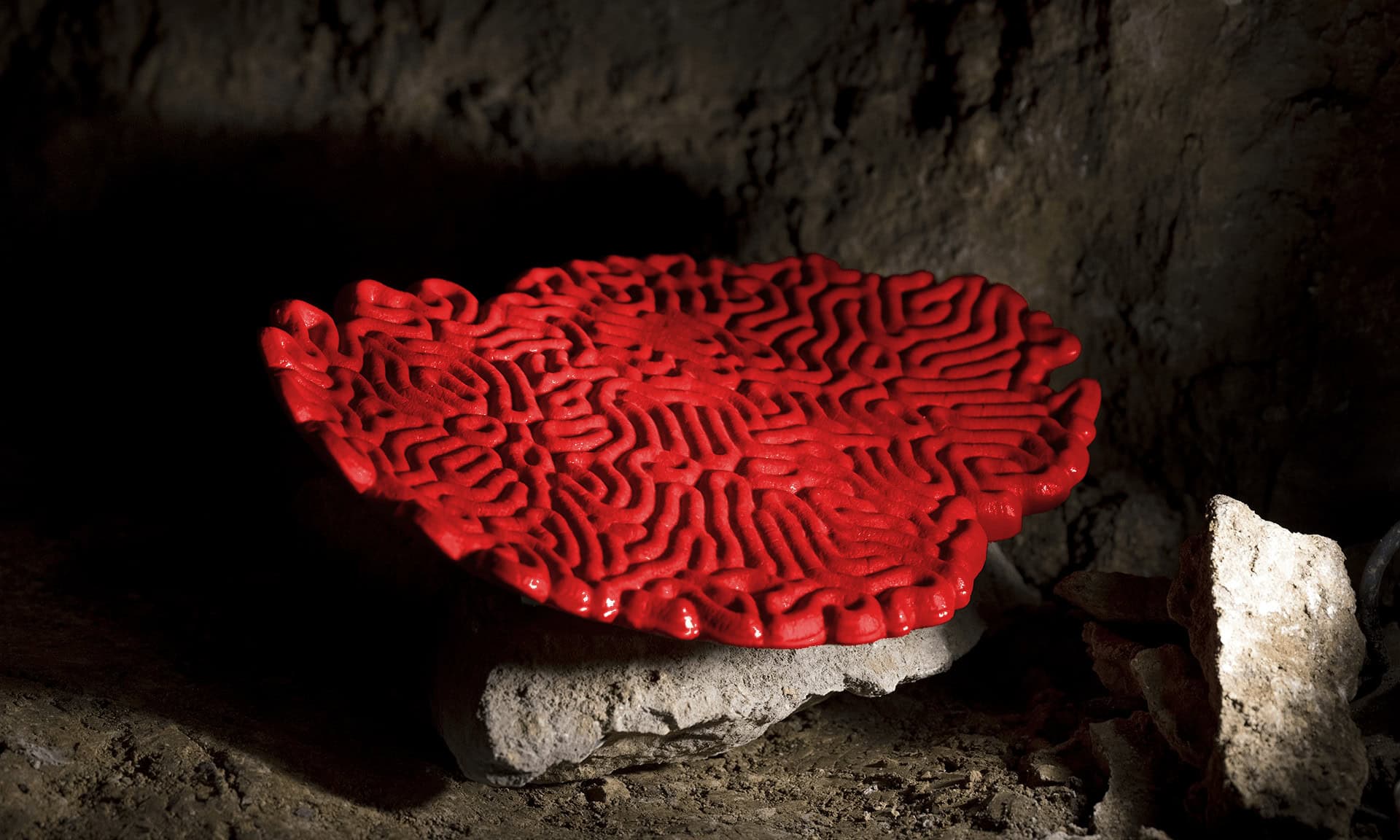 Jakub.Petr_Reaction Diffusion N2.01_foto Filip Dobias.png